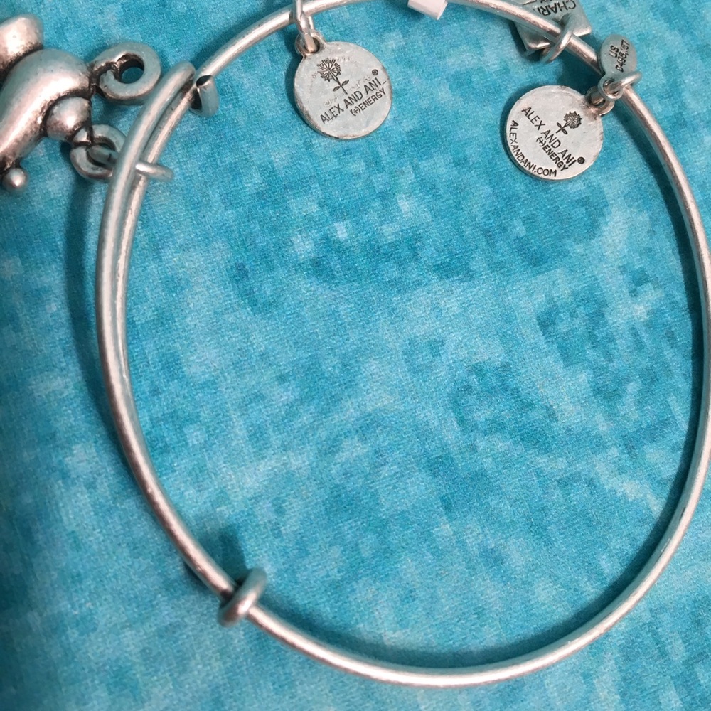 Alex and Ani Silver Lamp of Light Bangle - Picture 7 of 8